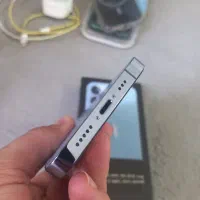 iphone 13pro|موبایل|پرند, فاز ۶|دیوار