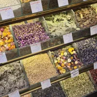 فروشنده