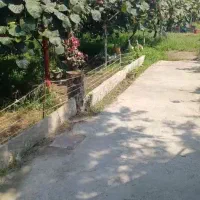 باغ کیوی معاوضه با آپارتمان