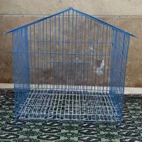 قفس عروس هلندی