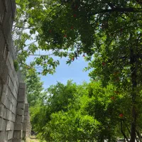 فروش باغ گروه ۵ قصردشت ۱۳۰۰ متر