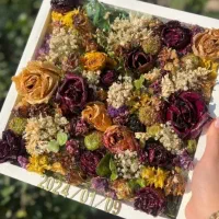 تابلوی گل جاودان|تابلو، نقاشی، عکس|یاسوج, |دیوار