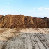 کود گوسفندی خشک