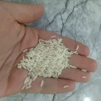برنج سالم هاشمی درجه 1