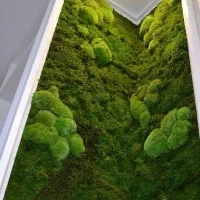 طراحی و اجرای ماس وال (دیوار خزه ای)