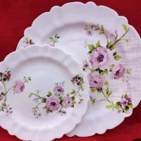 سرویس ارکوپال
