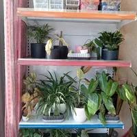 استند میوه،هایپری،پانچ/قفسه/در مدل های متفاوت|فروشگاه و مغازه|اهواز, کوی آغاجاری|دیوار