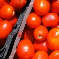 رب گوجه و ابغوره|خوردنی و آشامیدنی|شیراز, وصال|دیوار