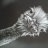 طرح معکوس شتر مرغ با پاستل گچی