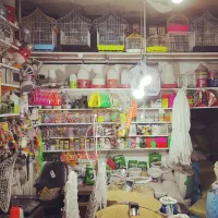 خرید و فروش انواع ارزن گندم ذرت کتان شاهدانه کبوتر|عمده‌فروشی|مشهد, مهدی آباد (بلوار توس)|دیوار