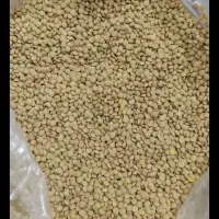 سیصد کیلوعدس پولکی تمیز
