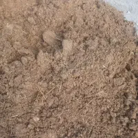 کود حیوانی