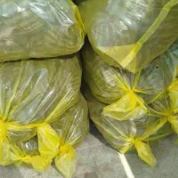 ذغال کنار|عمده‌فروشی|شوشتر, |دیوار