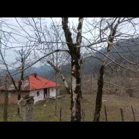 زمین مسکونی 630متری