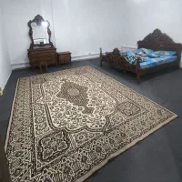 رهن و اجاره مرکز شهر|اجارهٔ آپارتمان|قشم, |دیوار