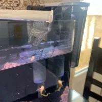 یک آکواریوم مدرن شیشه خم|ماهی|اسلامشهر, شهرک سعیدیه|دیوار