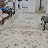 ۵۰متر/تک خواب/فول بازسازی/عباس کاشی|فروش آپارتمان|تهران, هاشمآباد|دیوار