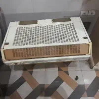 هود|هود|گرگان, |دیوار