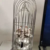 گلدان دکوری خانه