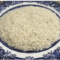 طارم هاشمی