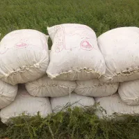 یونجه خرد شده