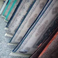 قالیشویی گل سرخ|خدمات نظافت|زاهدان, |دیوار