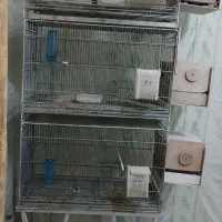 قفس هشت خان تا شو در حد نو|لوازم جانبی حیوانات|سامان, |دیوار