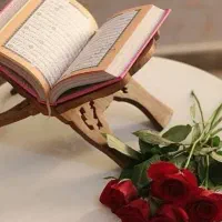 ف.ا.ل سرکتاب شمع تراپی