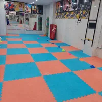 آموزش ورزش المپیکی تکواندو بانوان|خدمات آموزشی|شیراز, شهرک مدرس|دیوار