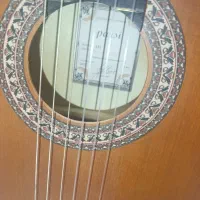 گیتار کلاسیک مدل پارسی m3|گیتار، بیس، امپلیفایر|قوچان, |دیوار