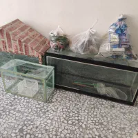 اکواریوم|لوازم جانبی حیوانات|خرمآباد, |دیوار