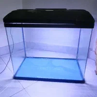 اکواریوم   آکوا Aqua شیشه خم  ۴۵×۶۰×۳۵|ماهی|تهران, یوسف‌آباد|دیوار