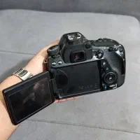 دوربین عکاسی و فیلمبرداری|دوربین عکاسی و فیلمبرداری|کاشمر, |دیوار