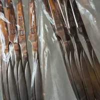 کارد میوه خوری تمام استیل آلمانی