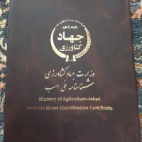 فروش اسب نژاد کرد .از لاین سهراب جعفری  سه ساله