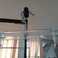 رگال و مانکن|فروشگاه و مغازه|خمینیشهر, |دیوار