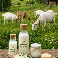 شیر،ماست،پنیر بز موجود است