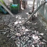 اجاره یا شراکت در استخر|اجارهٔ دفتر صنعتی، کشاورزی، تجاری|رباط‌کریم, نوده|دیوار