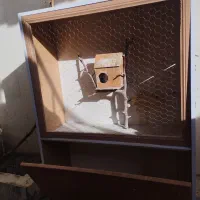 قفس|لوازم جانبی حیوانات|بیرجند, |دیوار