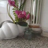 لوازم تولید عسل|خوردنی و آشامیدنی|قم, شاه احمد قاسم|دیوار