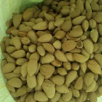 بادام امسالی