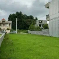 فایل-کاسبی-با-سند-تک-برگ-نزدیک-جنگل