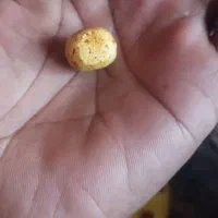 مهره شانس