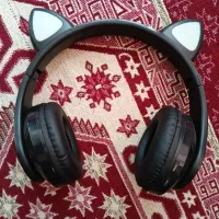 هدفون گربه ای.