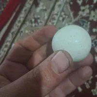 سنگ آسیاب الماس کهنه قدیمی|جواهرات|قم, نیروگاه|دیوار