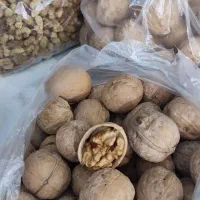 گردو و بادام اعلا|خوردنی و آشامیدنی|مشکیندشت, |دیوار