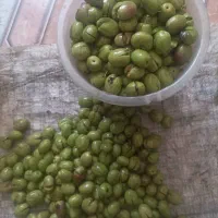 زیتون شکسته
