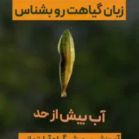 خدمات باغیانی با بهترین کیفیت|خدمات باغبانی و درختکاری|فردیس, فردیس|دیوار