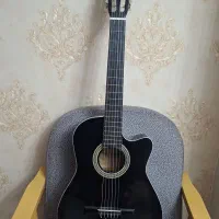 گیتار دیاموند|گیتار، بیس، امپلیفایر|پیشوا, |دیوار