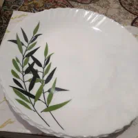 آرکوپال هندی 50تیکه نو|ظروف سرو و پذیرایی|تهران, گلستان (شهرک راه آهن)|دیوار